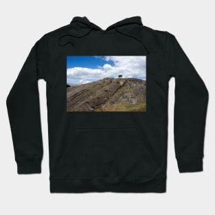 Looking towards a solitary green tree on a cliff Hoodie